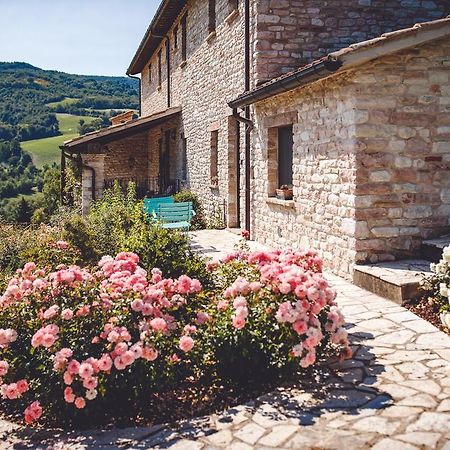Agriturismo Casal San Sergio Fossombrone Exteriér fotografie