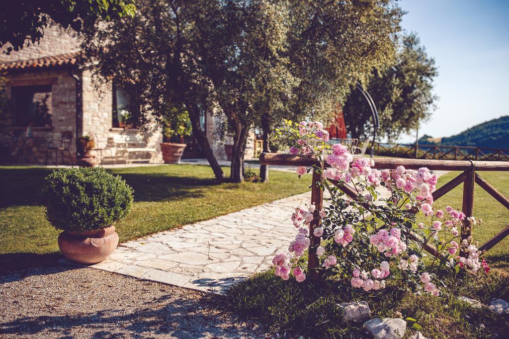 Agriturismo Casal San Sergio Fossombrone Exteriér fotografie