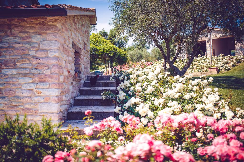 Agriturismo Casal San Sergio Fossombrone Exteriér fotografie
